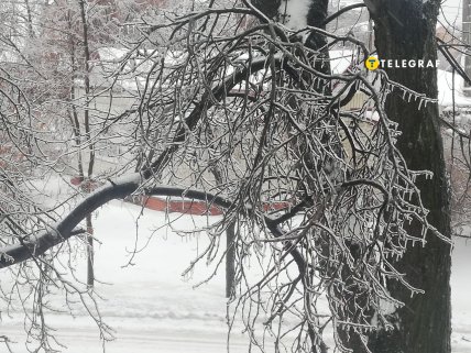 оледенение