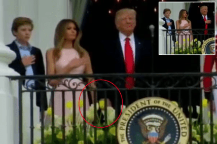 Трамп Меланія