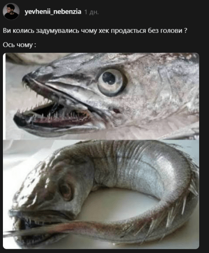 хек без головы