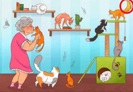 Ответ на головоломку