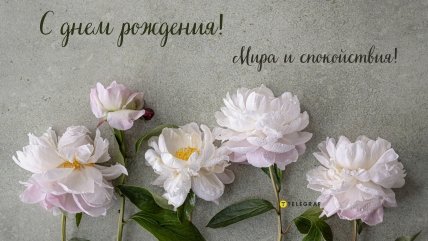 с днем рождения любимая тетя