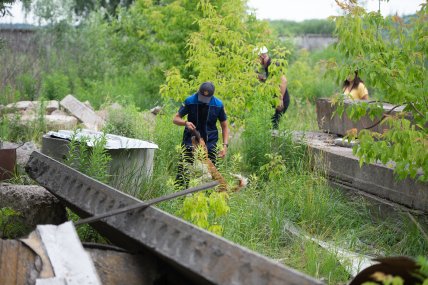 собака с кинологом