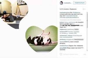 Маша Ефросинина в социальной сети сравнила себя с коровой