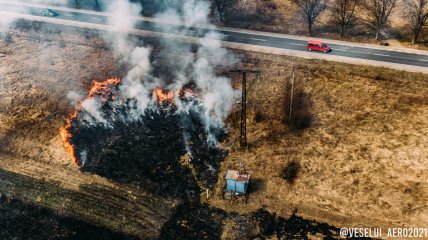 Пожар в экосистемах
