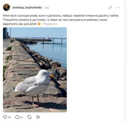 Чайка