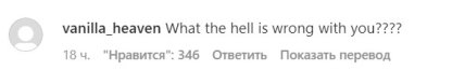 В сети раскритиковали Хасбика за насилие над котом