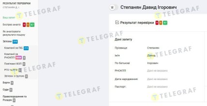 Реестры YouControl содержат более 200 совпадений по ФИО Степаняна Давида Игоревича