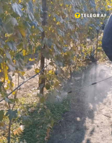 Что нужно обработать осенью в саду и огороде