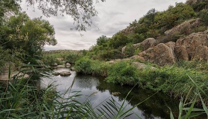 річка Мертвовід