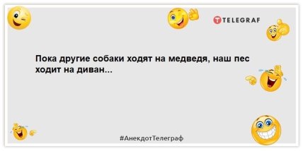 анекдот о собаке