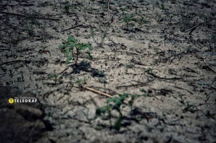 Каховське водосховище сьогодні через місяць після підриву ГЕС