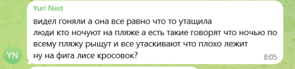Лиса бегала по спортивной площадке Одесса — комментарии