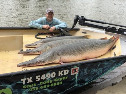 Как выглядит щука-аллигатор