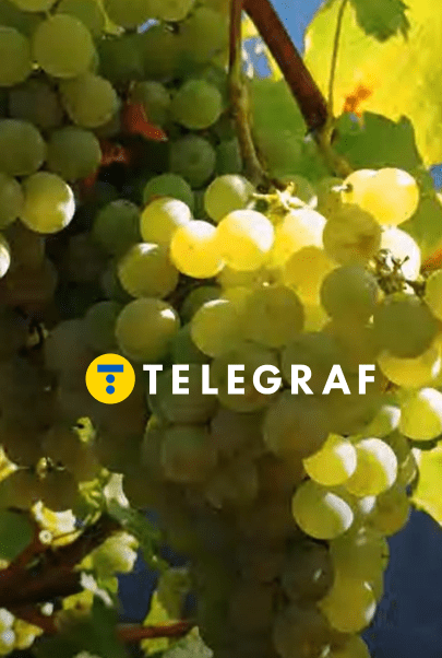 Ромулус виноград