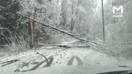 Снег в Москве 27.04.2026