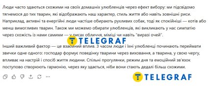 Чому люди та їхні улюбленці схожі: ChatGPT