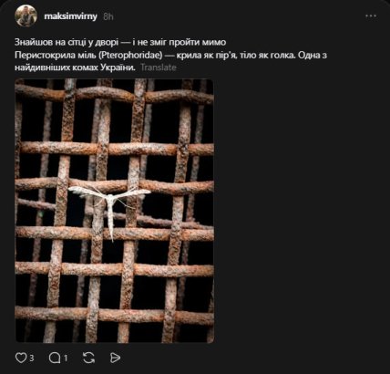 Перистокрила міль