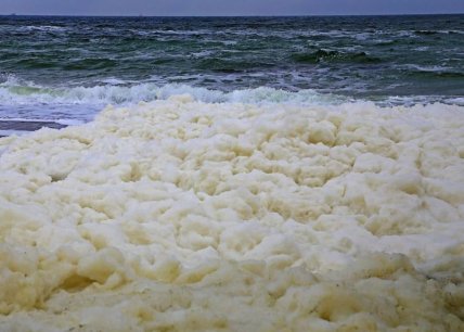Піна на берегу Одеси