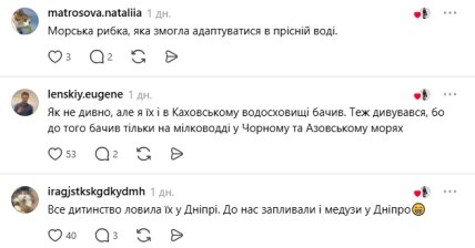 Коментарии пользователей