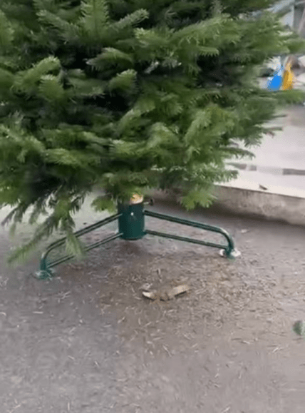 Подставки для елки