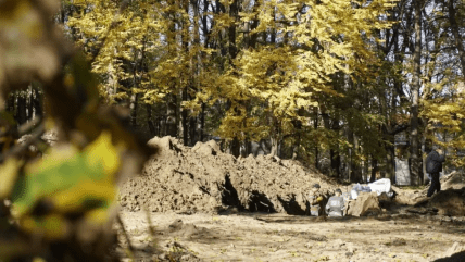 Эксгумация тел немецких солдат в 2017 году в парке культуры