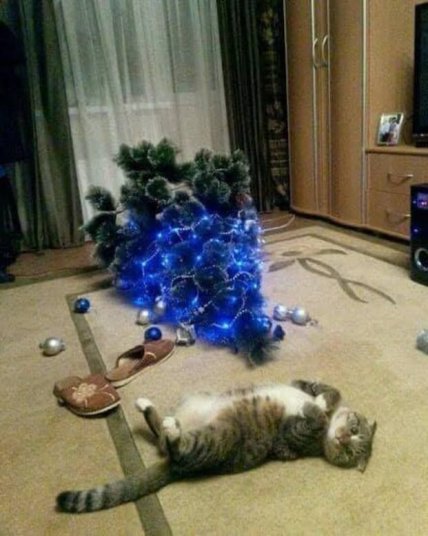 кот играет с елкой шутки
