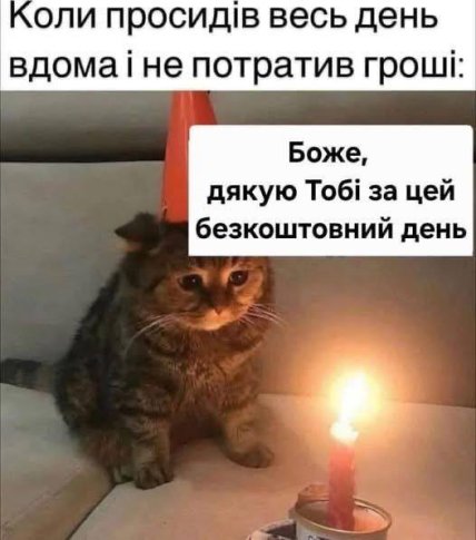 Мем кот сидел дома и не потратил деньги — бесплатный день