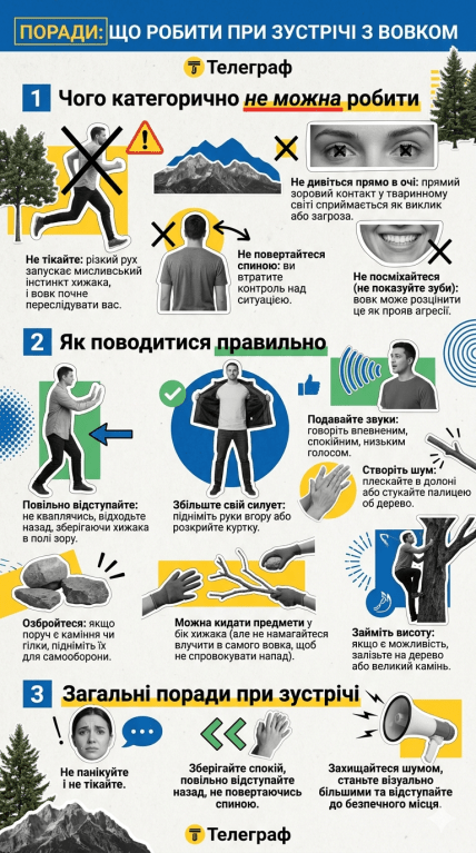 Що робити, якщо зустрів вовка
