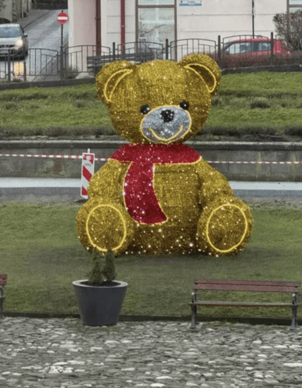 Ведмідь у Польщі, якому замінили шарф