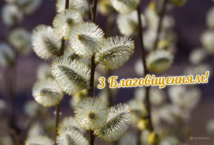 з благовіщенням вітання в картинках