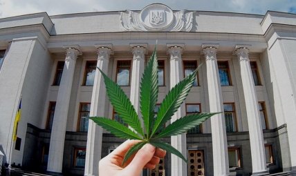 Фото листка марихуани в Україні