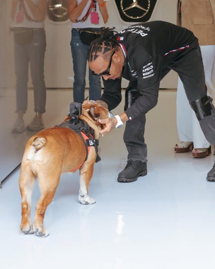 Льюїс Гамільтон завжди знаходив час для Роско