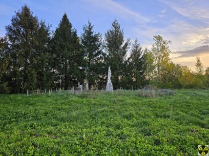 Залишки німецького цвинтаря біля села Меденичі на Львівщині