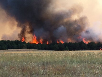 Кінбурнська коса пожежі
