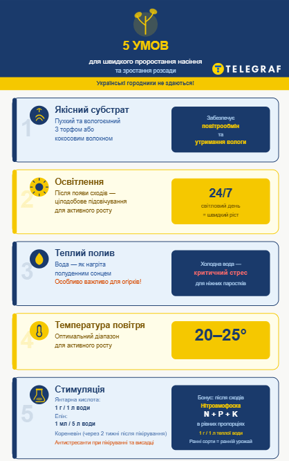 Как ускорить рост рассады, какая должна быть температура, освещение, полив