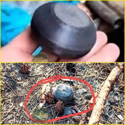 Міна-пряник