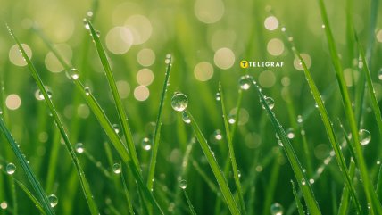 Народные приметы 5 сентября 2025