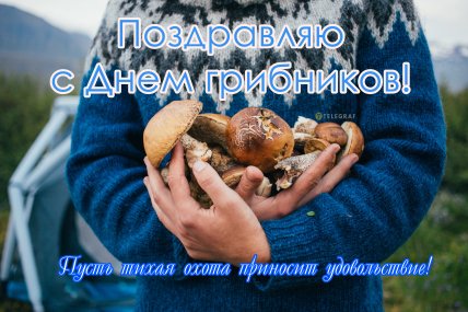 поздравляю с днем грибника открытка