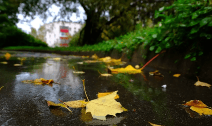 В Україну йде похолодання та дощі