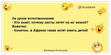 анекдоты о вовочке