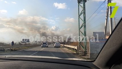 Пожар возле села Маяки