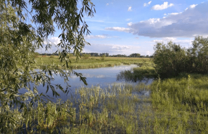 Озеро Девоща, Черниговщина