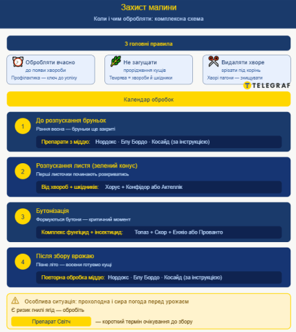 Когда, как и чем правильно обрабатывать малину, пошаговая инструкция
