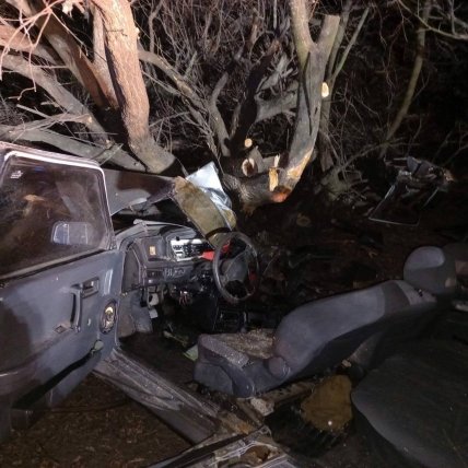 Под Белой Церковью ВАЗ влетел в дерево, погиб подросток