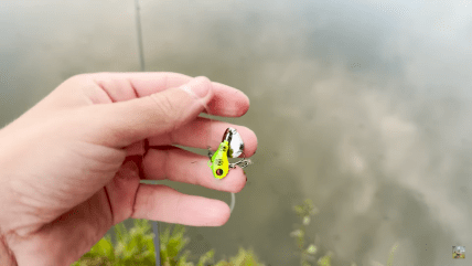 На какую приманку можно поймать щуку