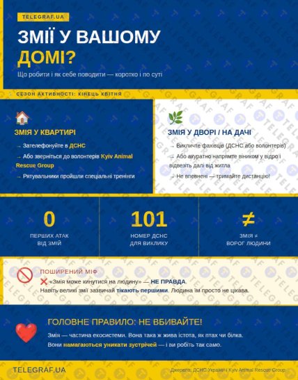 Что делать, если змея забралась в дом