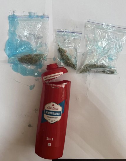 Полиэтиленовые зип-пакеты с веществом растительного происхождения, обнаруженным сотрудниками Киевского СИЗО во время осмотра вещей