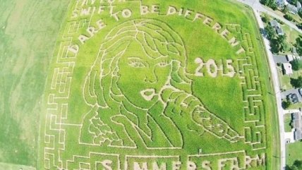 Лицо Тейлор Свифт появилось на кукурузном поле