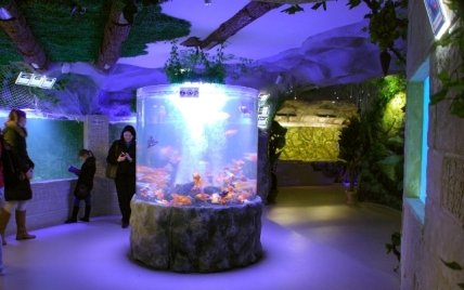 Весенние школьные каникулы: программа мероприятий - изображение №1