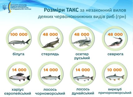 Компенсація за незаконний вилов риби